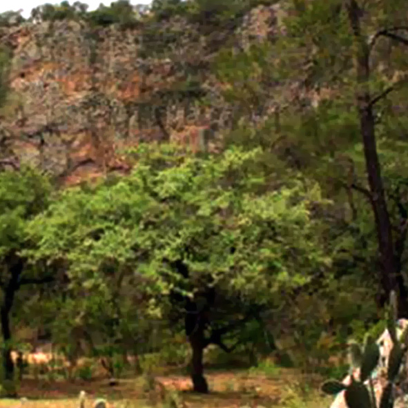 Peña Alta
